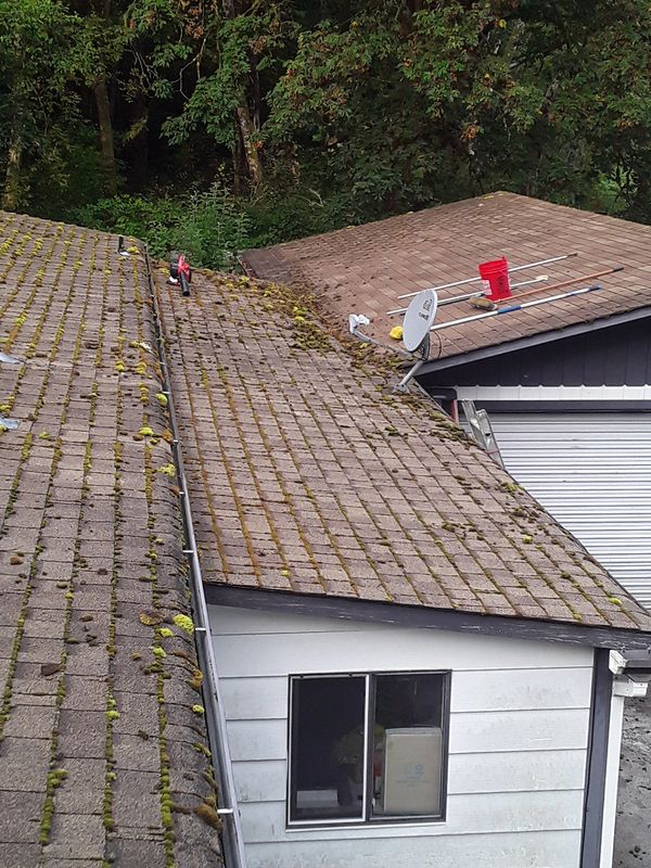Roof with moss and cleaning tools on a neighboring roof.