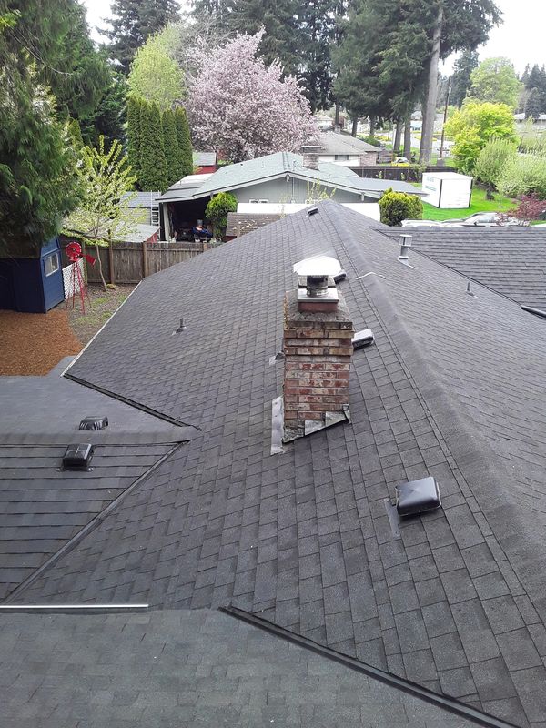 View of a residential rooftop with a chimney and surrounding trees.
