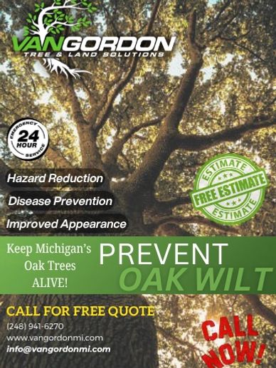VanGordon Tree & Land Solutions offers free estimates to prevent oak wilt in Michigan.