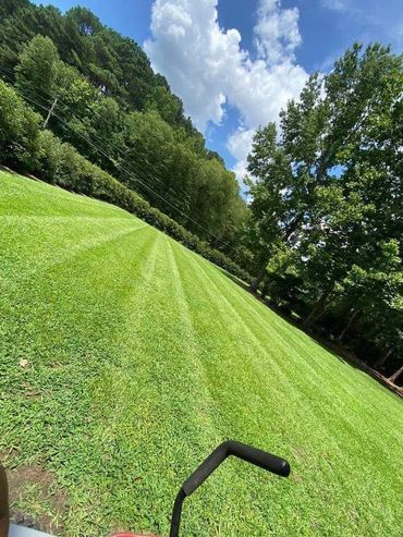 Look at those stripes