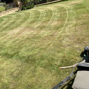 You want be disappointed!!