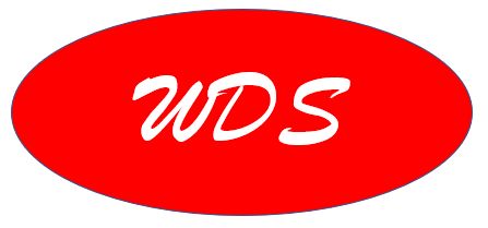 WDS Trucking Services Logo