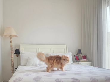 3D Bedcover Dohar in white cotton with a beautiful print in pinks and reds