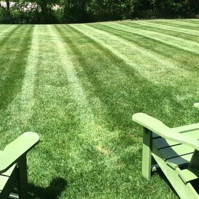 Lawn Care Weed Control