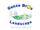 Gonzo Bros Landscape
