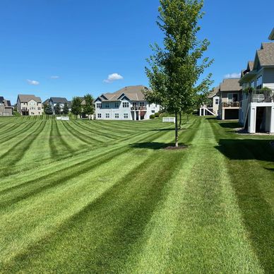 Commercial Lawn Care