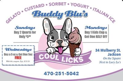Ice cream Jackson Buddy Blus exclusive coupons only here