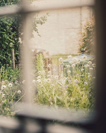 Pam's garden in Locks Cross Cottage