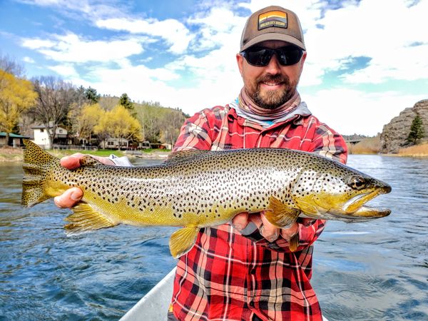 Missouri River Fly Fishing Brown Trout being held by angler in front of Montana fishing guide drift