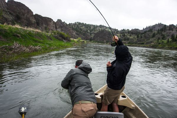 Montana fishing guide Landing Fish on the Missouri River Montana from a drift boat with client