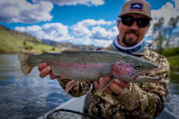 Missouri River Rainbow trout being held by an angler with beautiful sun and cloud scenery behind