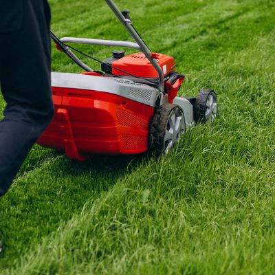Maintenance & Pool/Garden Services