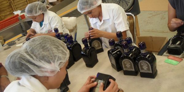 Tequila Don Weber bottling process