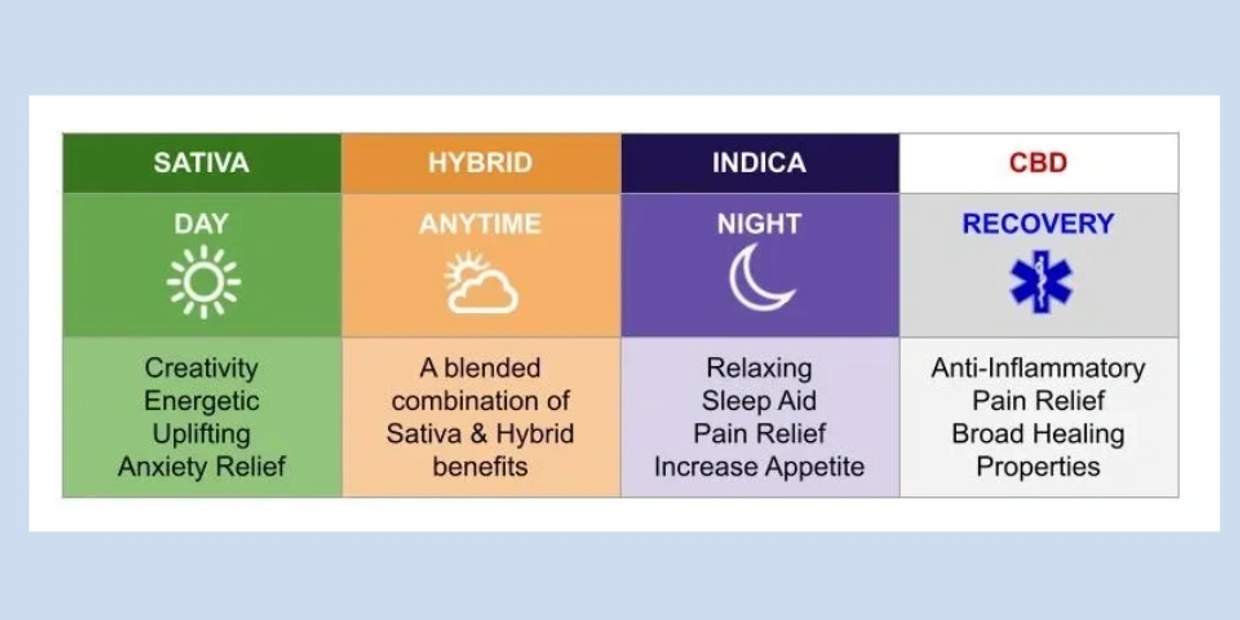 Comparison chart of Sativa, Hybrid, Indica, and CBD effects and best usage times.