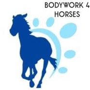 Bodywork 4 Horses