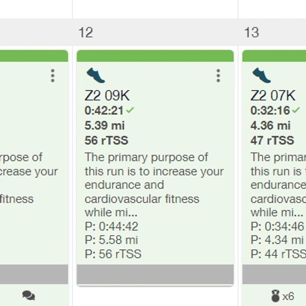 A weekly running schedule outlining distances, times, and training goals in a fitness app.