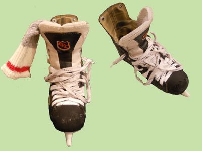 A poem on the Canadian Hockey Player