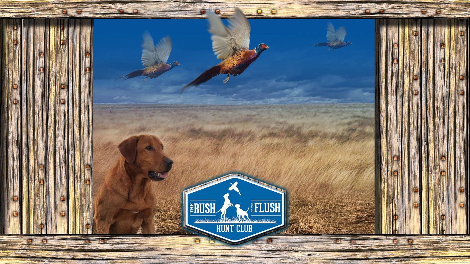 TRAINING KENNELS The Rush of the Flush