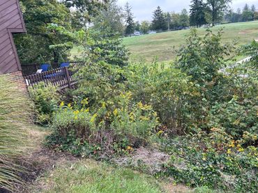 A lush backyard garden with yellow flowers next to a wooden deck and open grassy field.