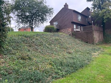 Brown house on a hill with greenery and a tree under a cloudy sky.