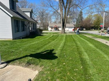 Man using a leaf blower on a green lawn near a house on a sunny day.