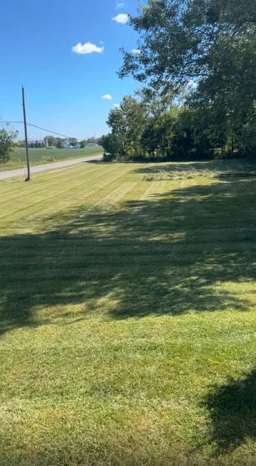 A sunny day with freshly mowed grass and trees casting shadows.