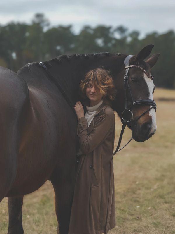 Person embraces a large horse in a serene outdoor setting.