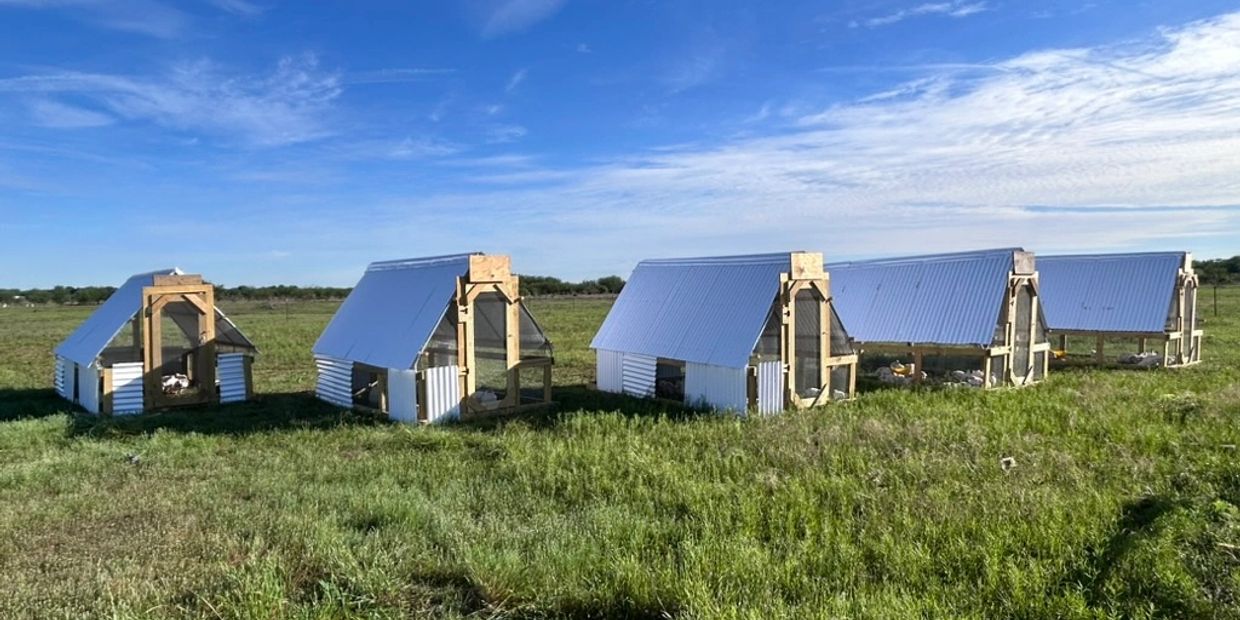 Row of small metal-roofed chicken coops in a grassy field under a blue sky.