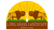 Long Grass Landscape