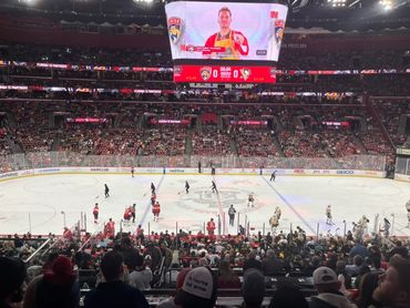 David & Cheri Remland at Amerant Bank Arena watching the Florida Panthers play 2024