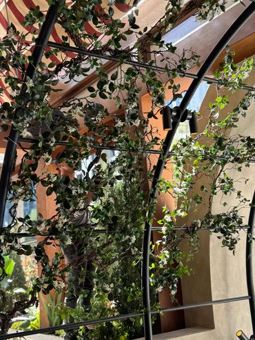 Faux Jasmine arch created for Claudie restaurant in Brickell, Miami. We planted real Jasmine plants