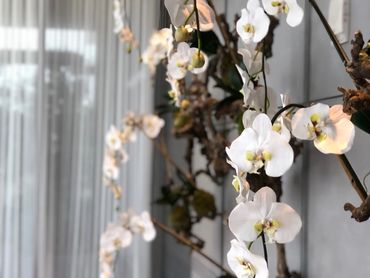 Faux orchid lobby wall installation in Miami Beach, FL