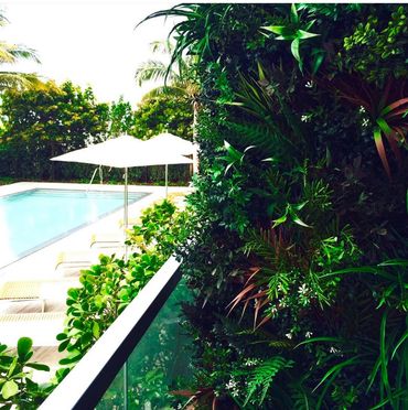 Faux greenery planters in Miami Beach, FL