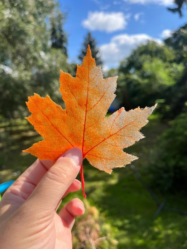 Hand holding an orange glass maple leaf against a sunny blue sky. Created by a glass artist Alberta