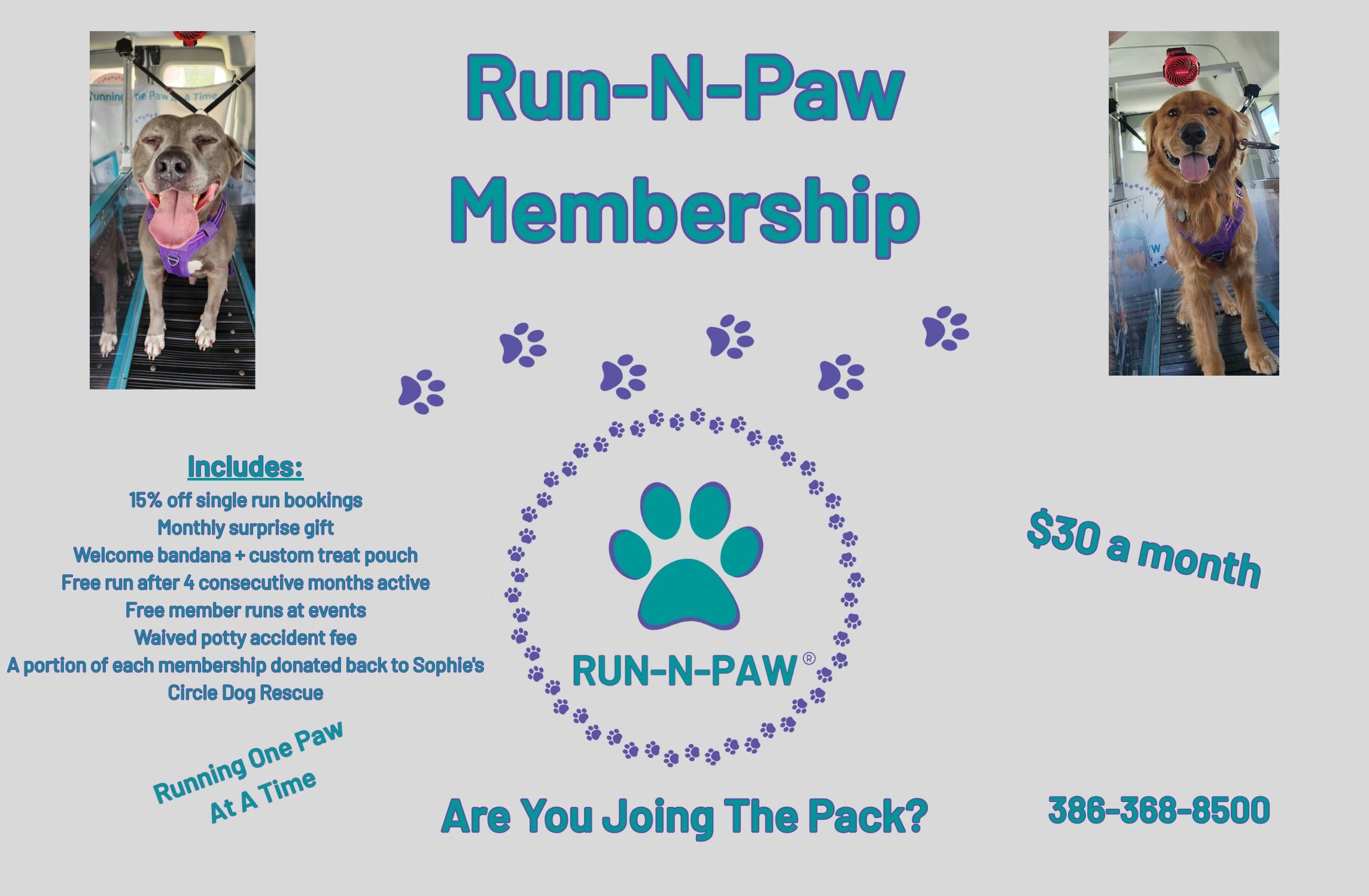 Membership Information