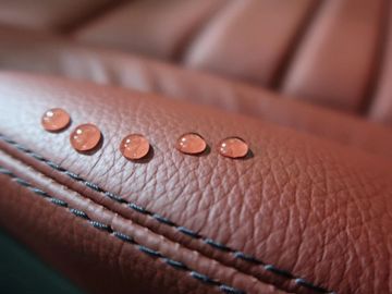 Leather Protection