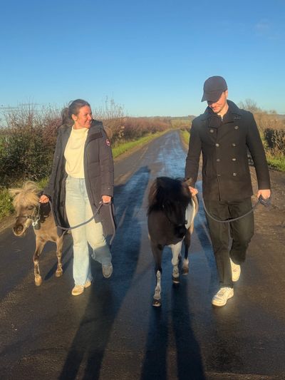 Two people walking miniature horses on a sunny country road.