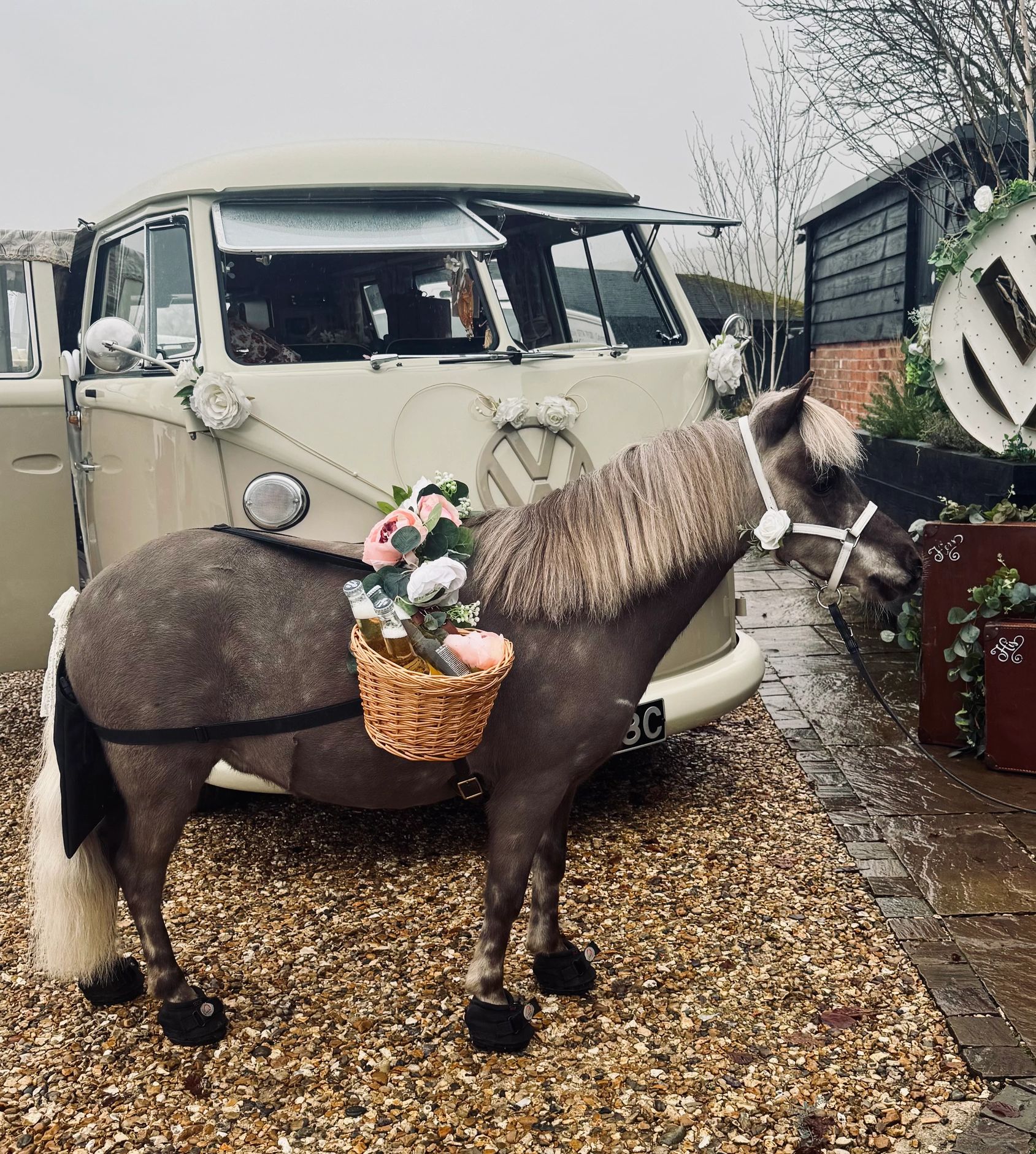 A decorated pony with a basket of drinks stands in front of a vintage VW van.