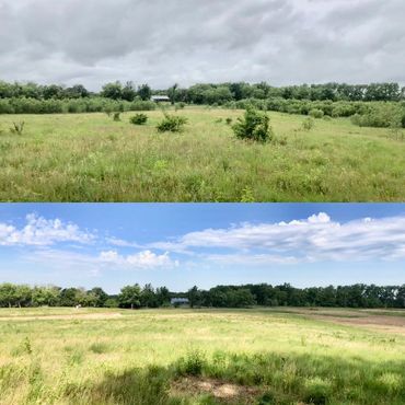 Comparison of a grassy field under cloudy and sunny skies.