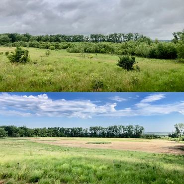 Two landscape photos showing a grassy field under different weather conditions.