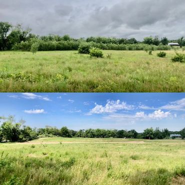 Two contrasting images of a grassy field under different weather conditions.