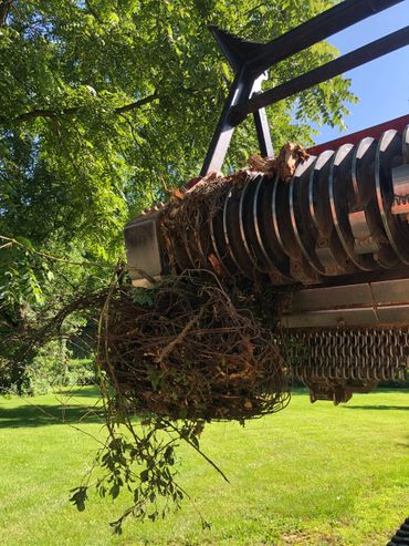 Close-up of a machine removing a large clump of tangled vines outdoors.