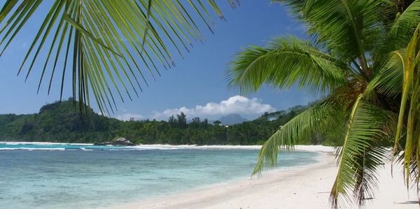 Beach with blue water and pine trees with hills in the background