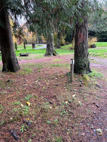 Tent camping in space 1 next to trees.