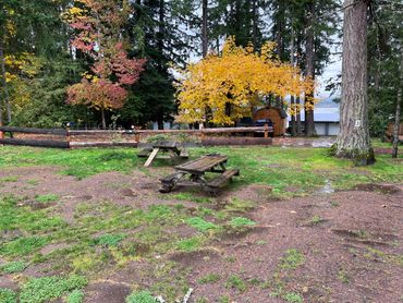 Silver Lake Resort tent camping to enjoy gathering under the trees next to the lake.