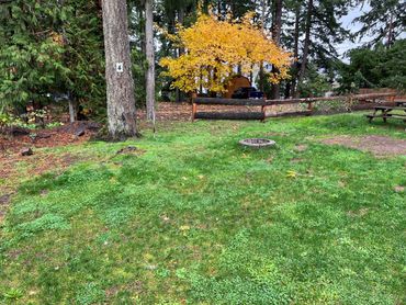 Tent space 4 with its own fire pit and picnic table.