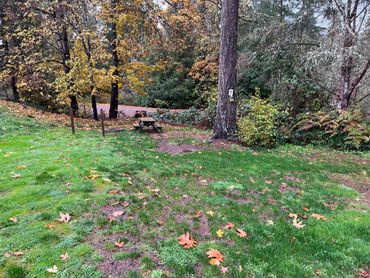Silver Lake Resort tent camping to enjoy gathering under the trees next to the lake.