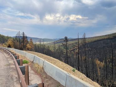 After the fire in New Mexico