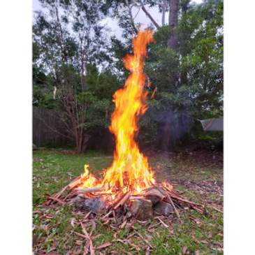 SerpentSSS dreaming connection to fire