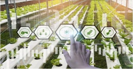 Terra Sana smart agri-tech growing solutions enable nutrient delivery and reduced water usage